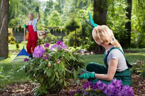 Sustainable landscaping features in a Fulham garden