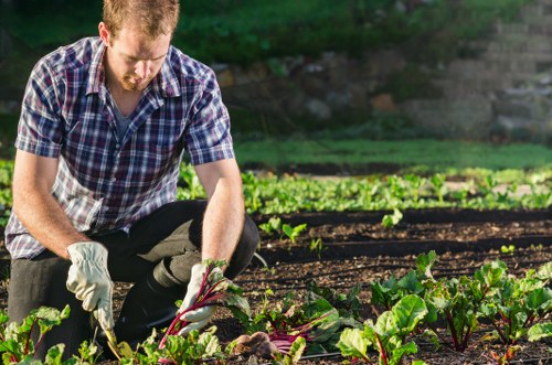 Autumn garden maintenance activities in Fulham
