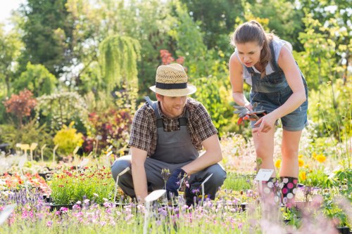 Professional garden clearance team working in Fulham