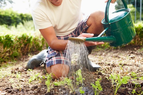 Professional lawn mowing service in Fulham