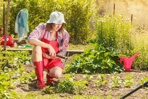 Professional garden services working in a Fulham garden
