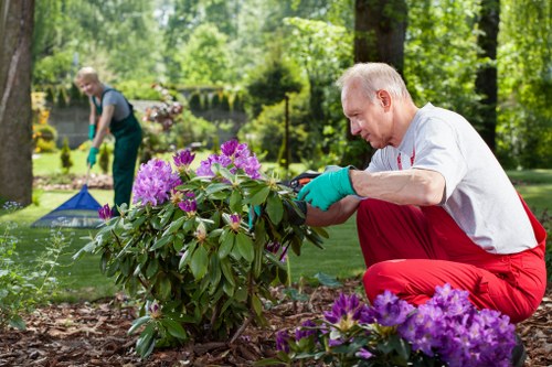 Benefits of a clean and clutter-free garden