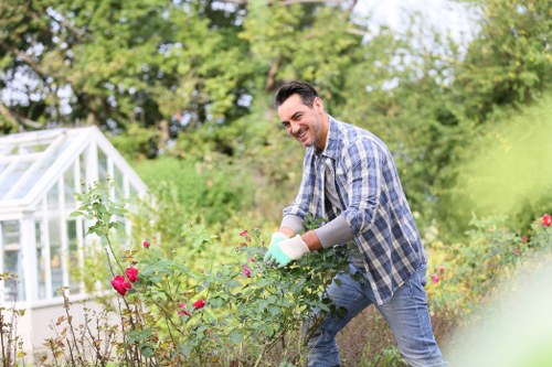 Healthy green lawn with regular maintenance