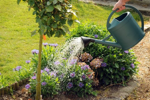Seasonal lawn care tips for Fulham residents