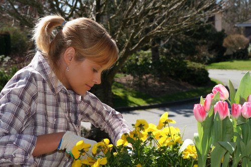 Garden tools and plants preparing for spring in Fulham
